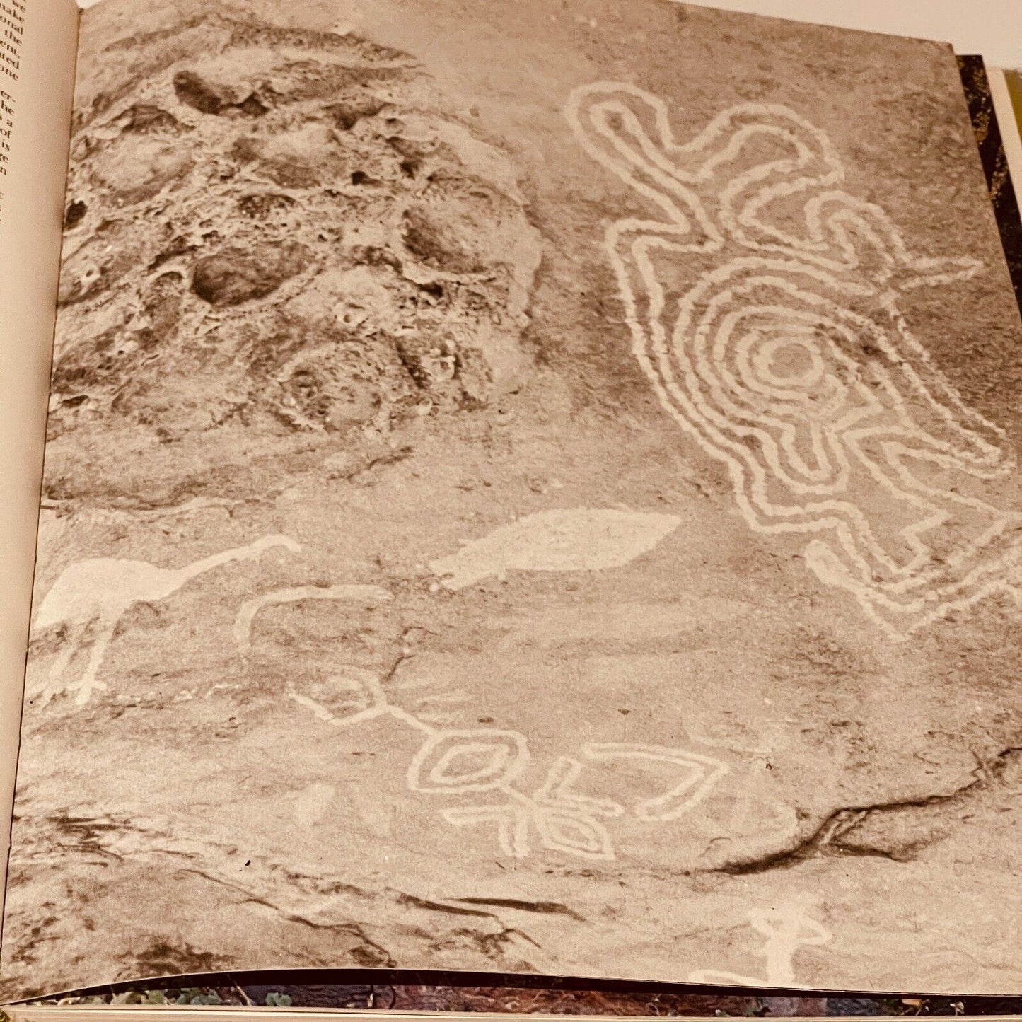 Prehistoric Art of Australia