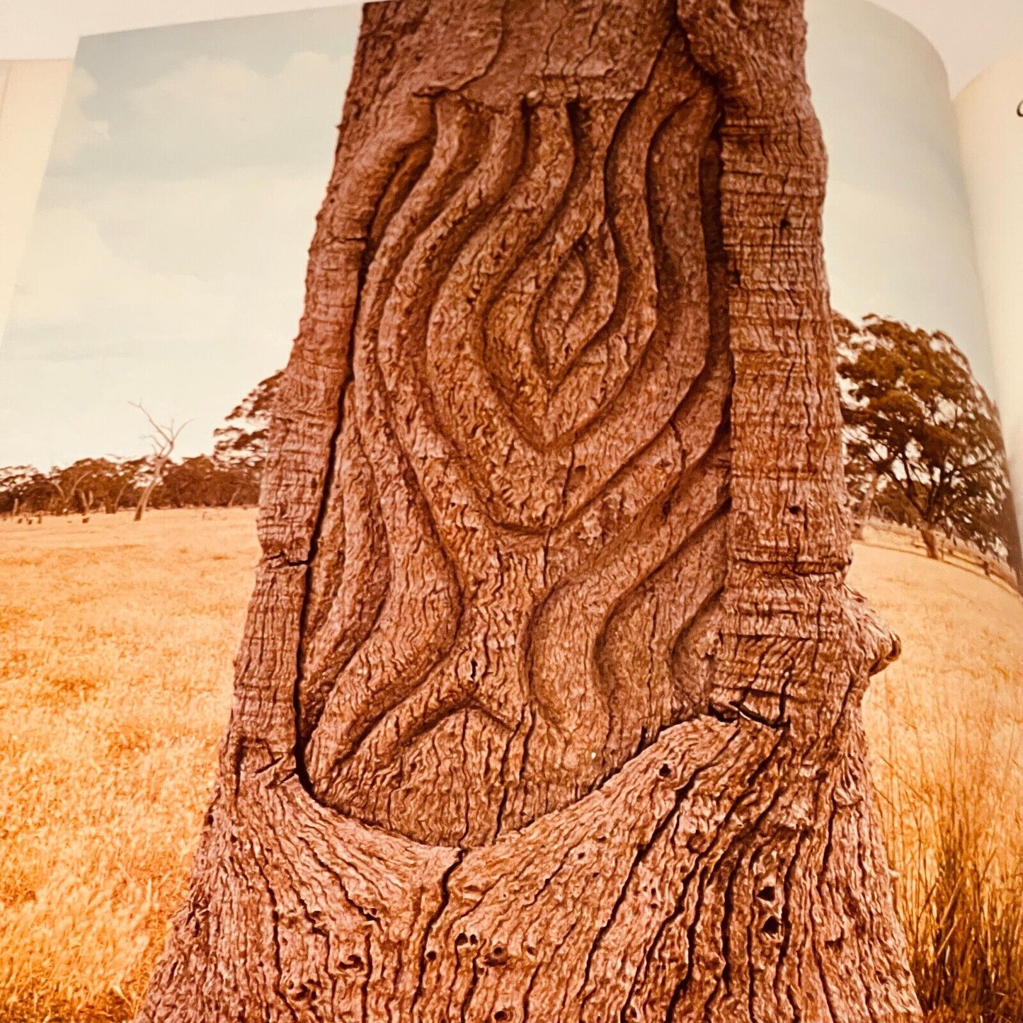 Prehistoric Art of Australia