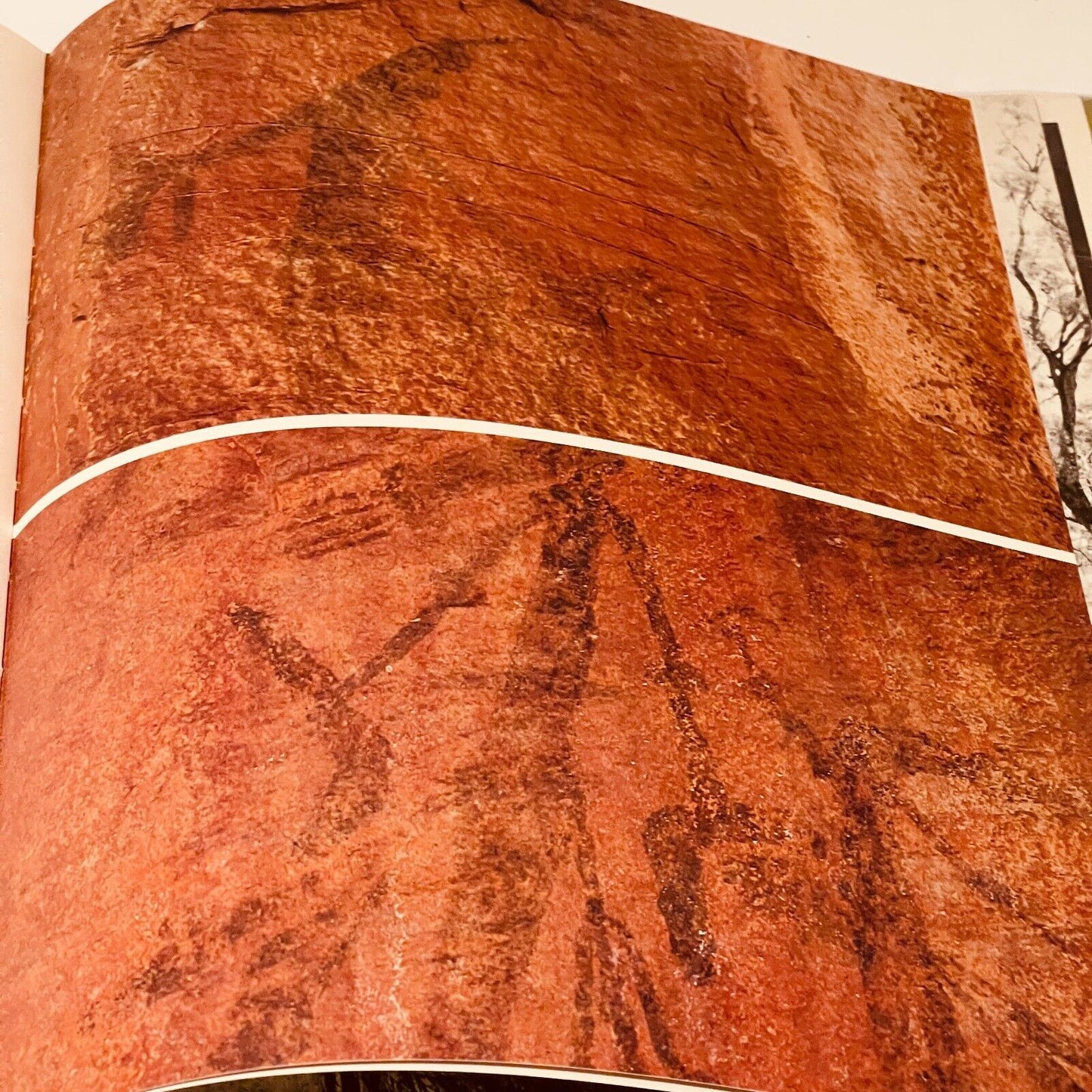 Prehistoric Art of Australia