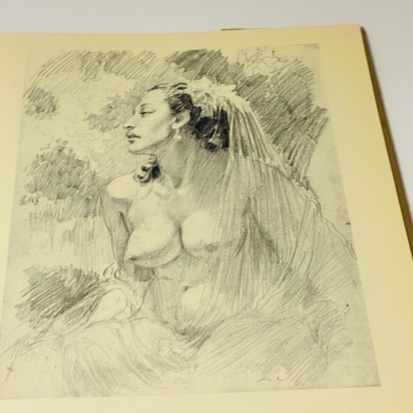 Norman Lindsay Pencil Drawings - Miss Holley Emma's Bookroom