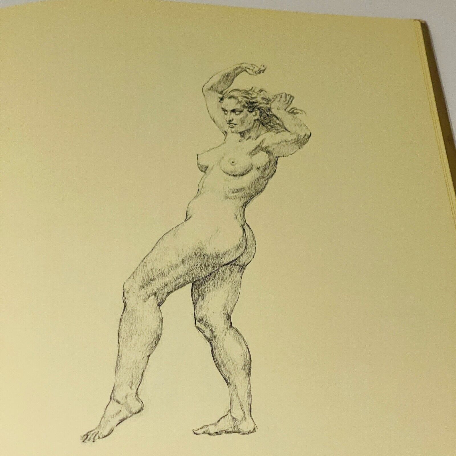 Norman Lindsay Pencil Drawings - Miss Holley Emma's Bookroom