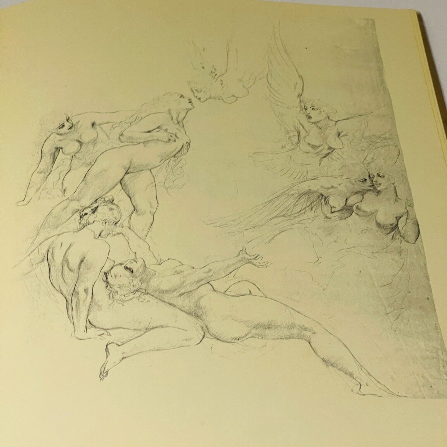 Norman Lindsay Pencil Drawings - Miss Holley Emma's Bookroom