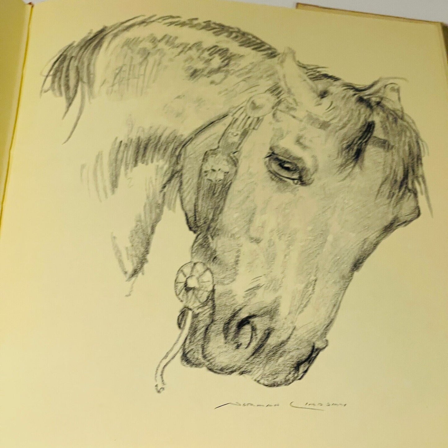 Norman Lindsay Pencil Drawings - Miss Holley Emma's Bookroom