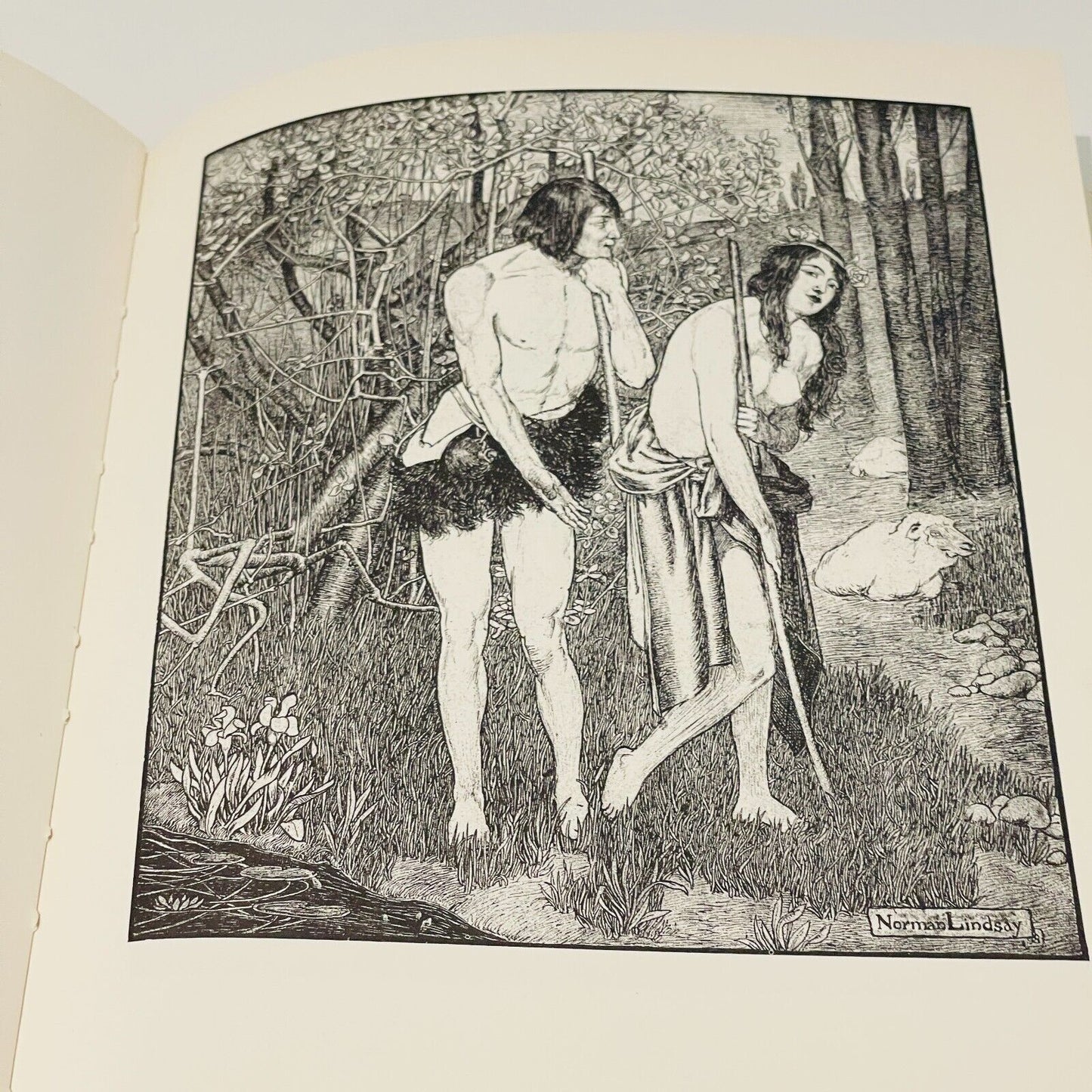 Norman Lindsay Pen Drawings