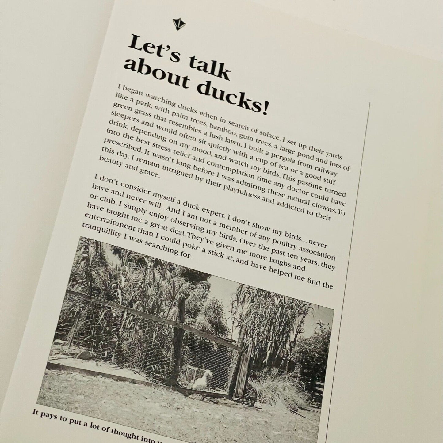 For the Love of Ducks: An Australian Guide to Duck Husbandry