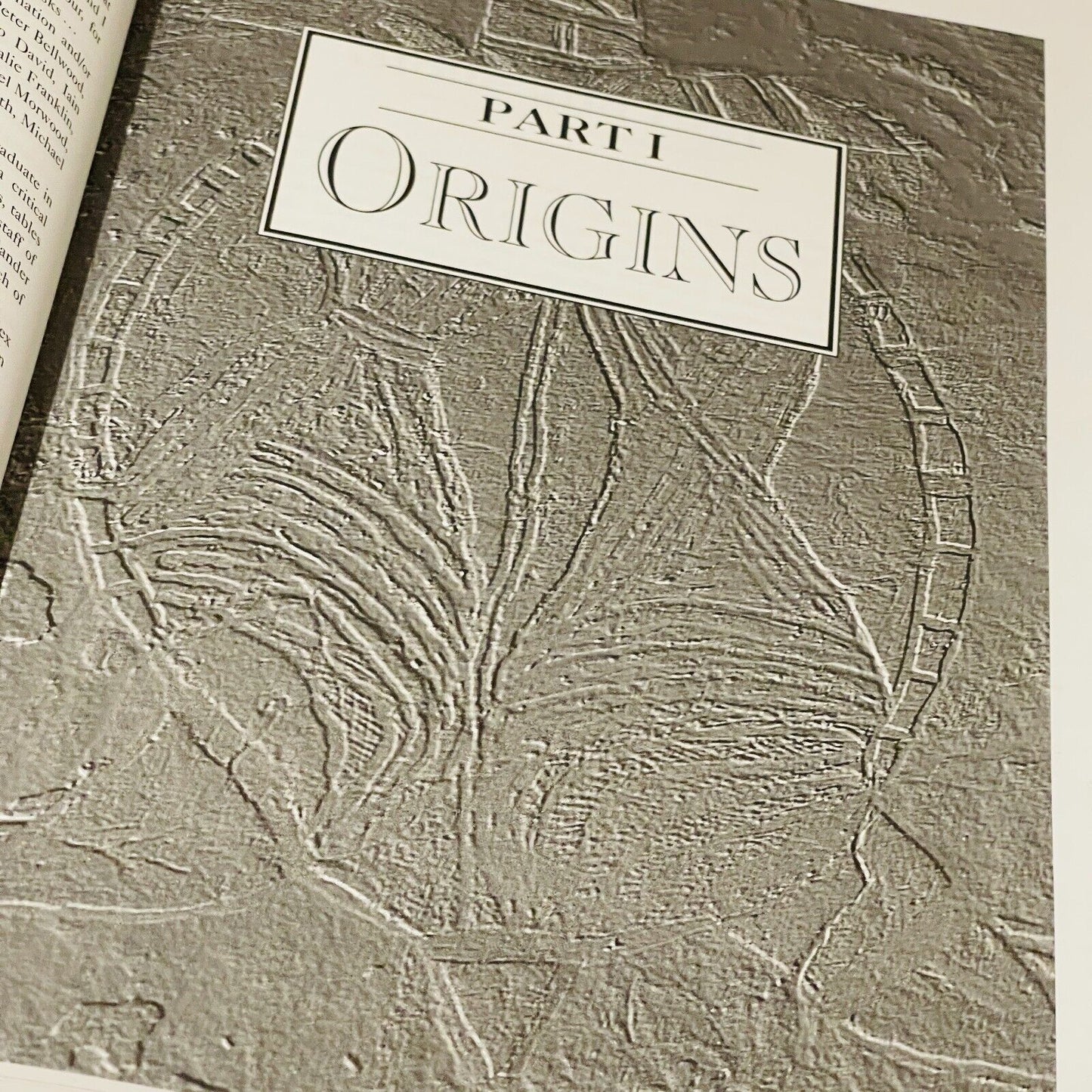 Archaelogy of the Dreamtime: The Story of Prehistoric Australia and its People