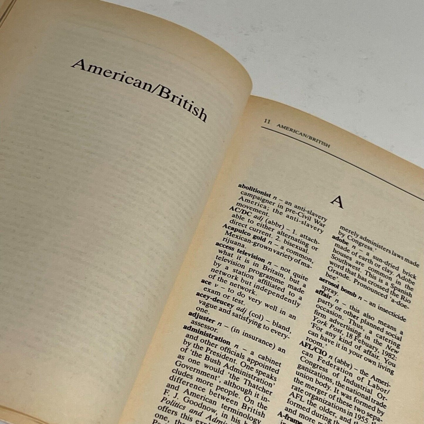 The Hutchinson British/Americal Dictionary