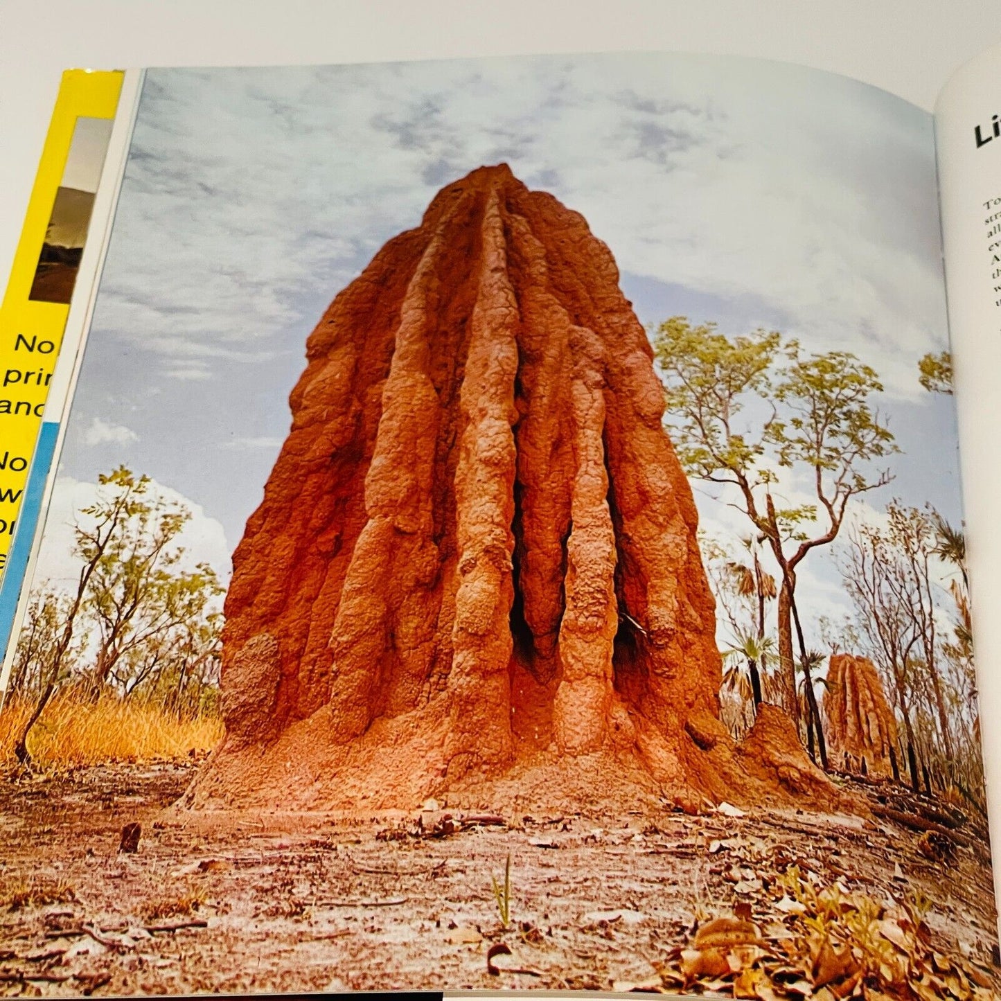 The Red Centre