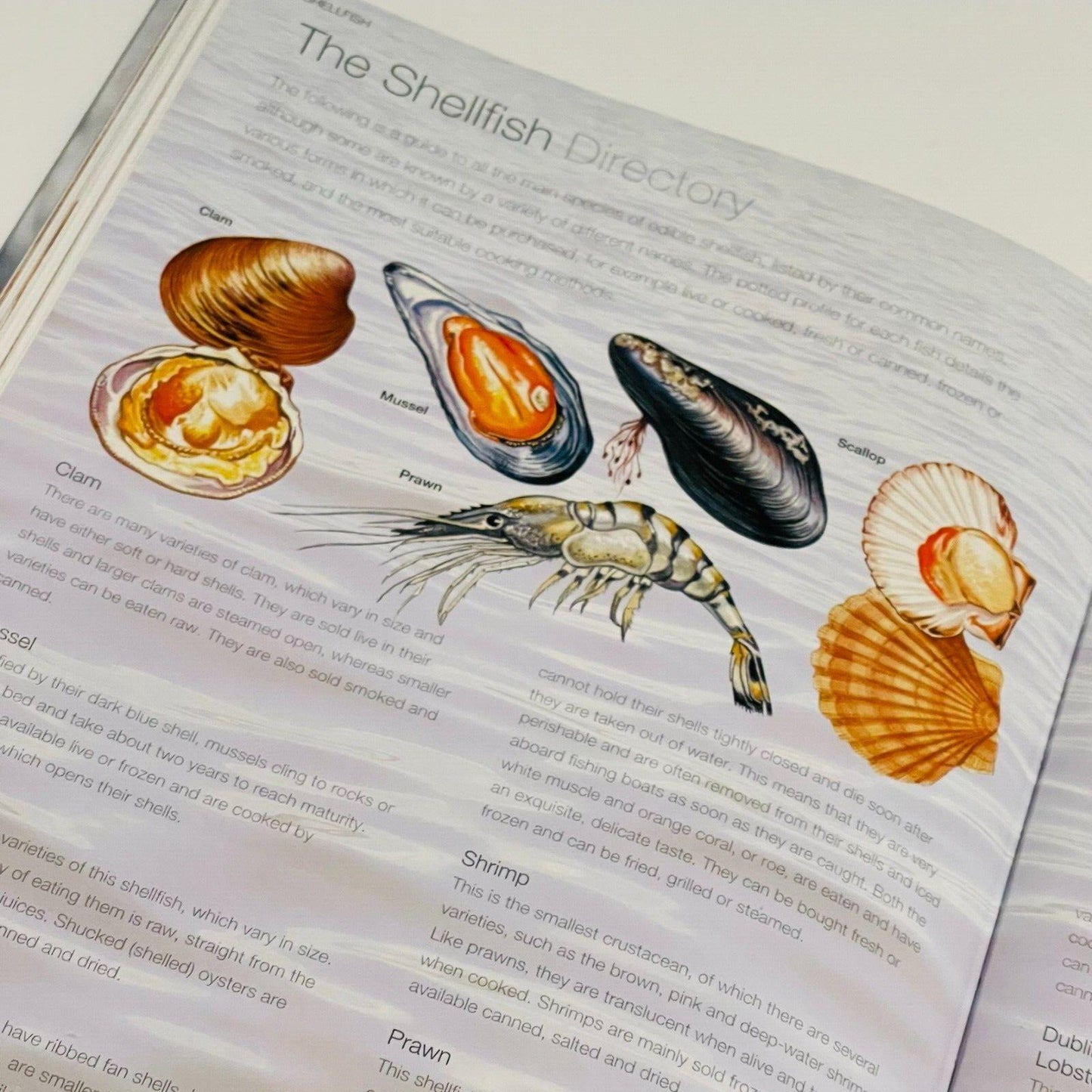 Fish & Seafood Cookbook