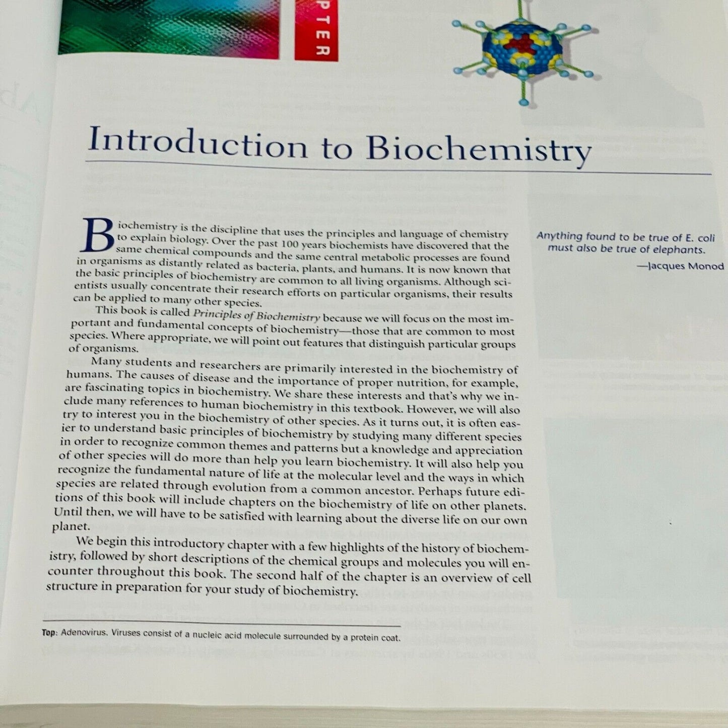 Principles of Biochemistry