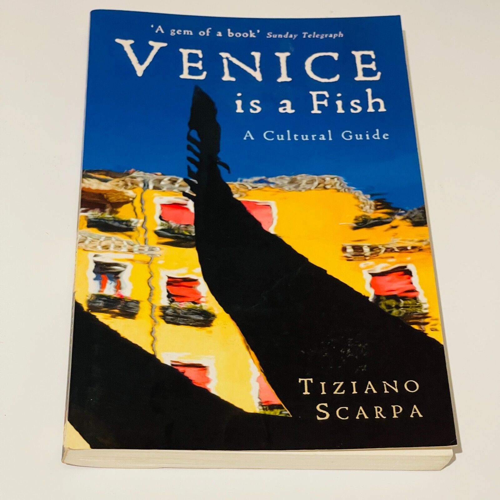 Venice is a Fish - Miss Holley Emma's Bookroom