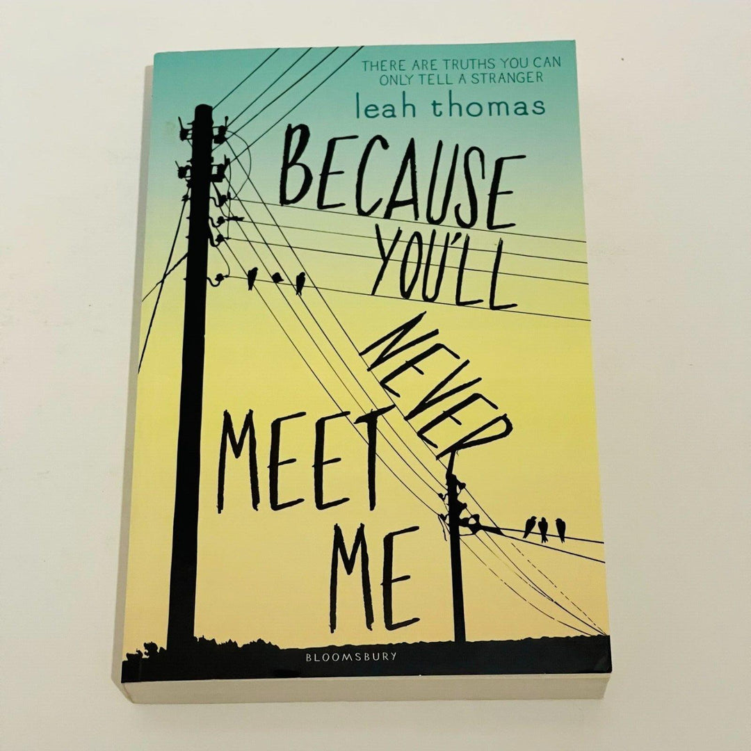 Because You'll Never Meet Me - Miss Holley Emma's Bookroom