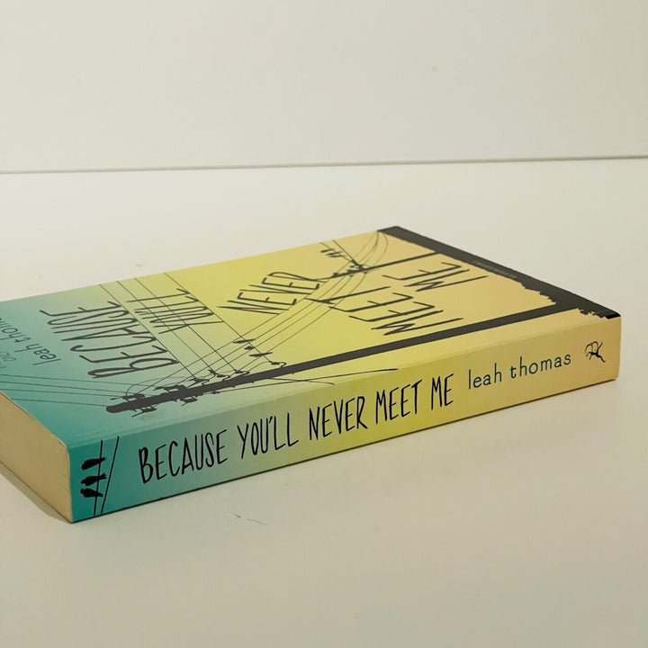 Because You'll Never Meet Me - Miss Holley Emma's Bookroom