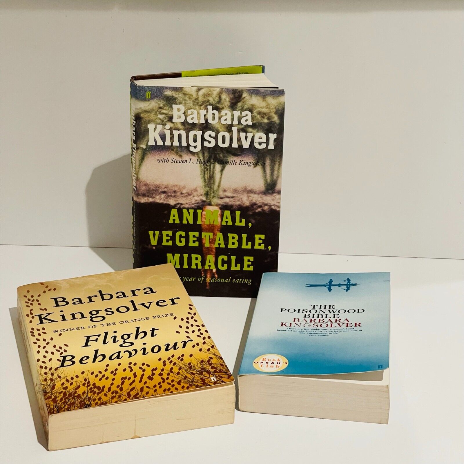 Barbara Kingsolver Bundle - Miss Holley Emma's Bookroom