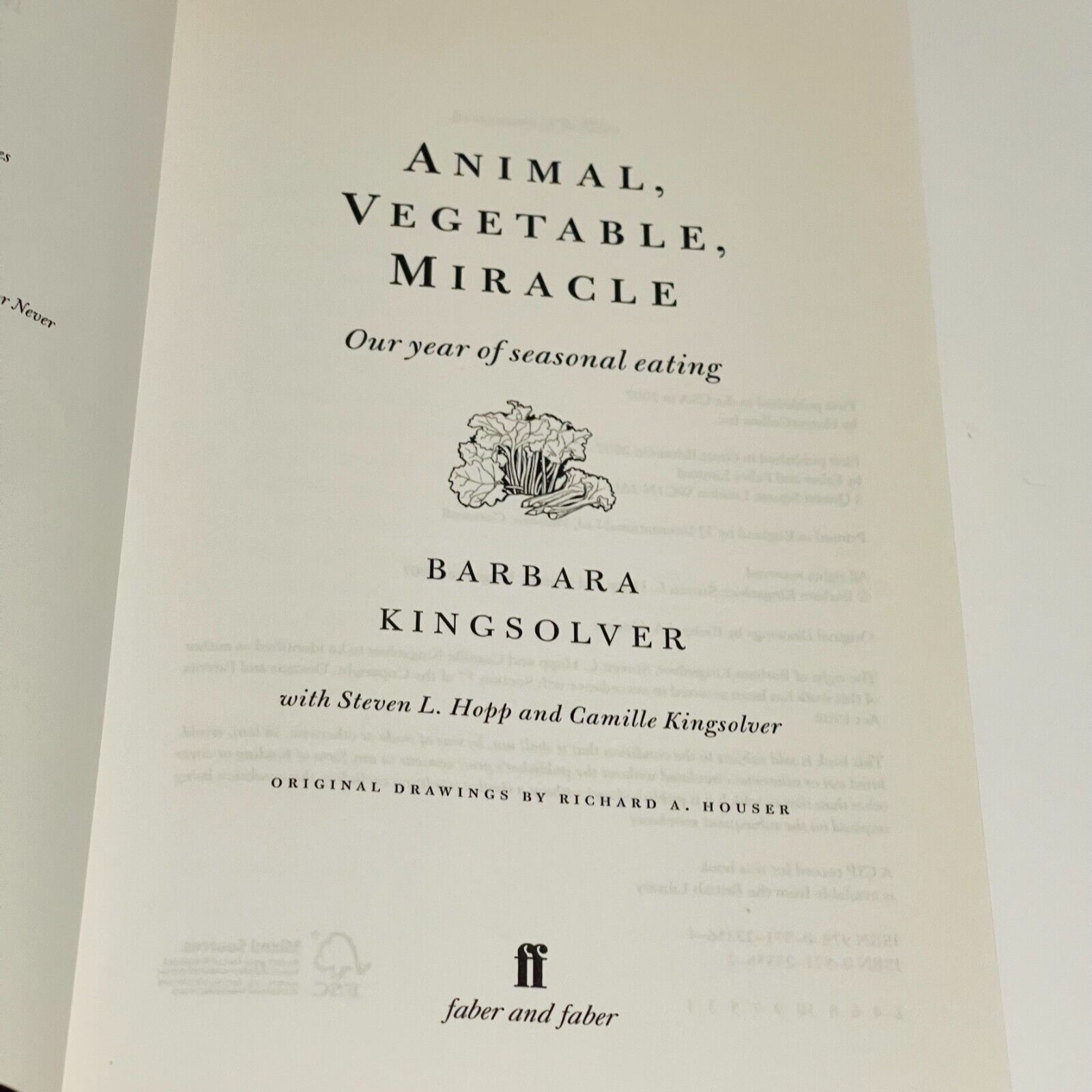 Barbara Kingsolver Bundle - Miss Holley Emma's Bookroom