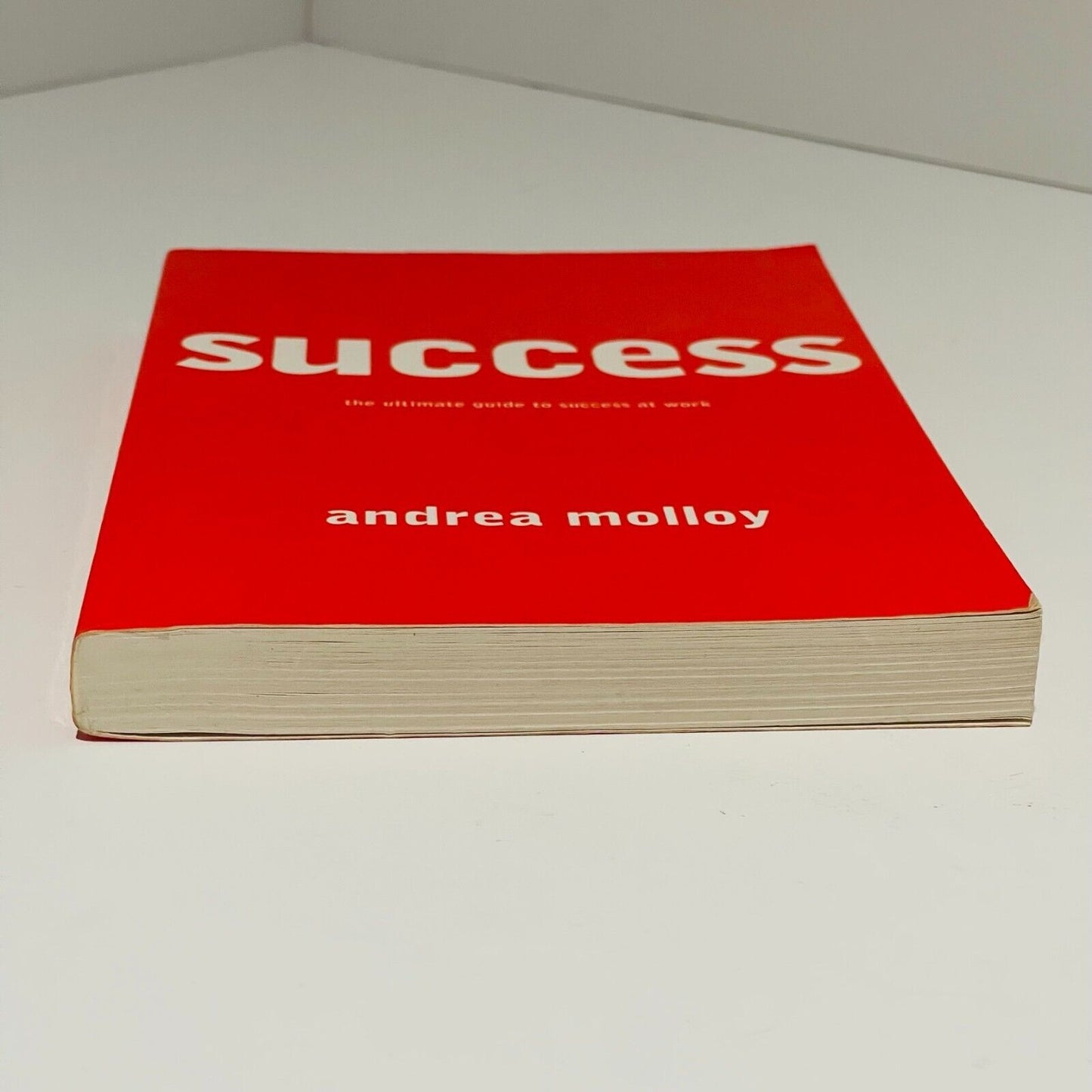 Success: Ultimate Guide to Success at Work