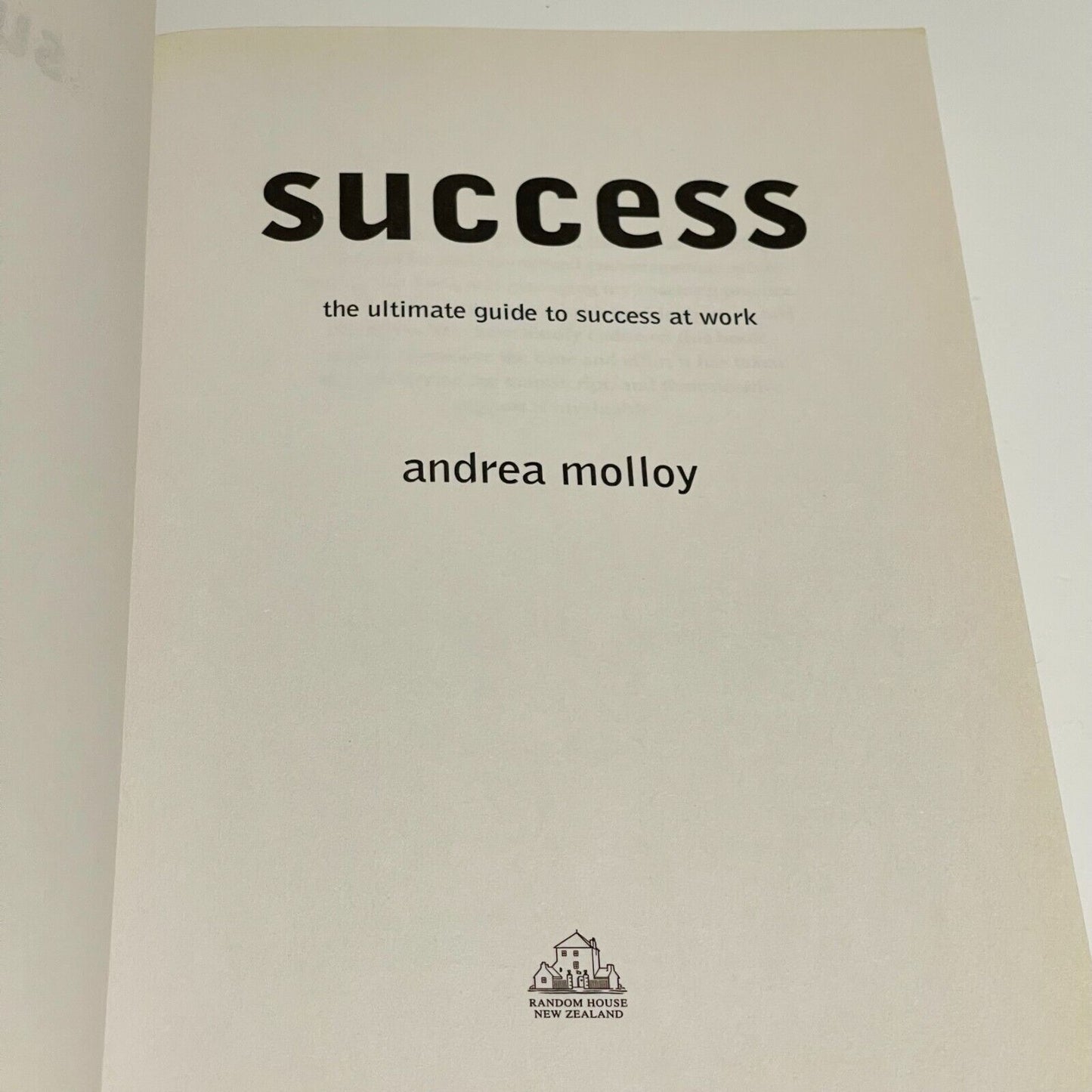 Success: Ultimate Guide to Success at Work