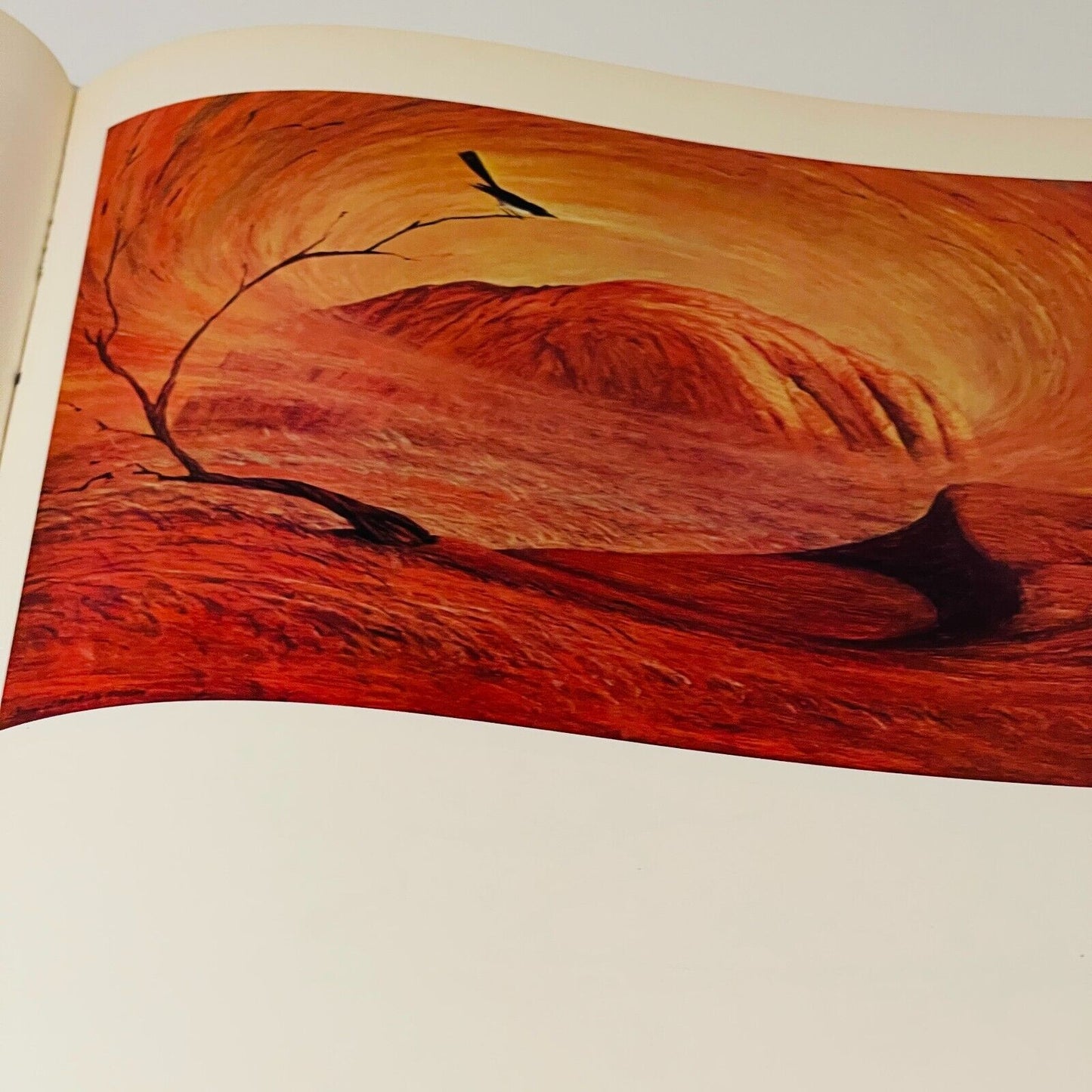 The Dreamtime Book