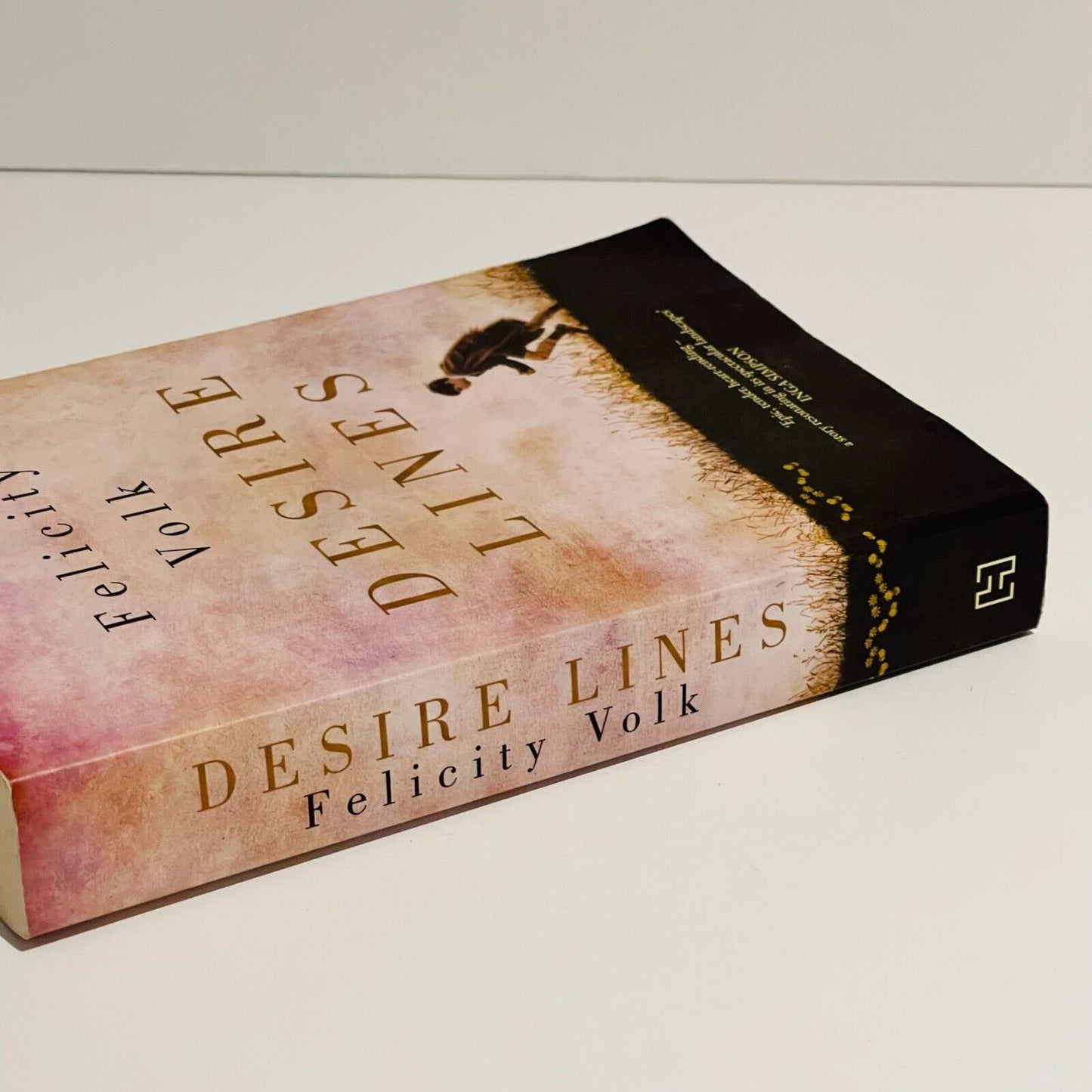 Desire Lines - Miss Holley Emma's Bookroom