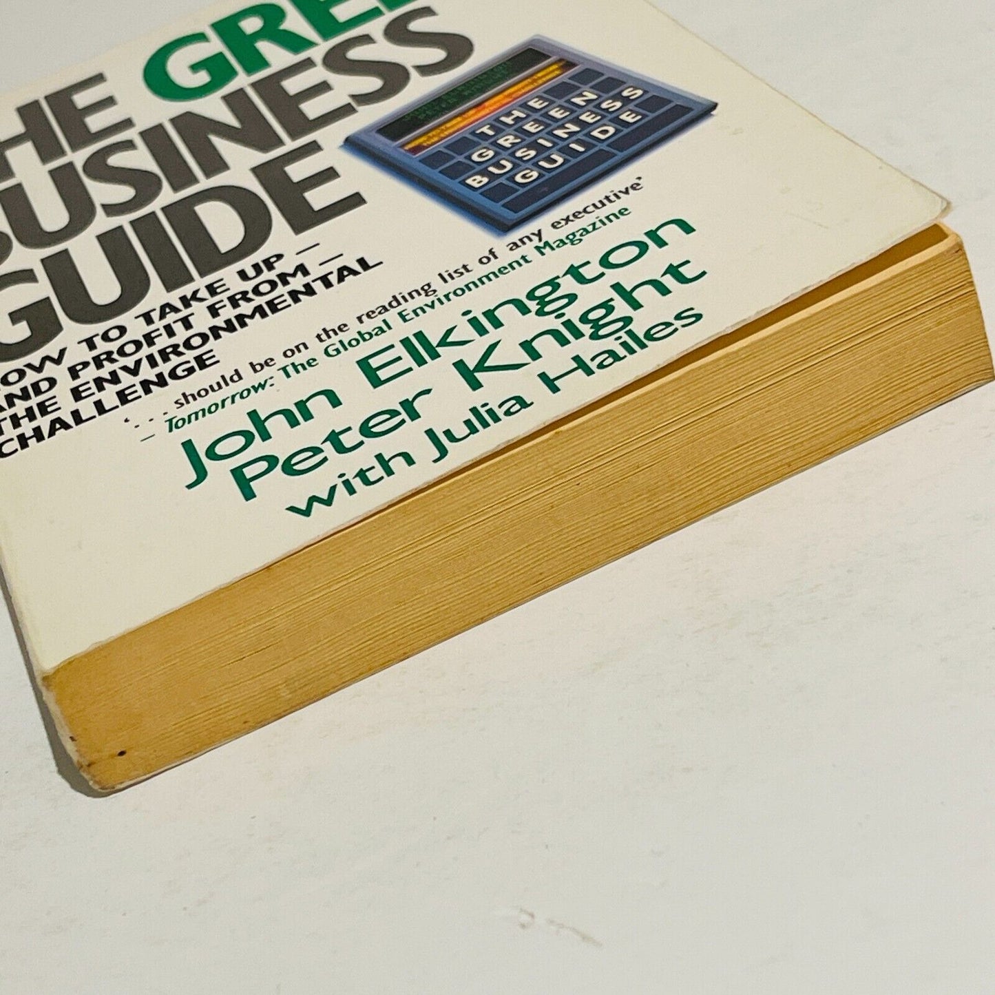 The Green Business Guide - Miss Holley Emma's Bookroom