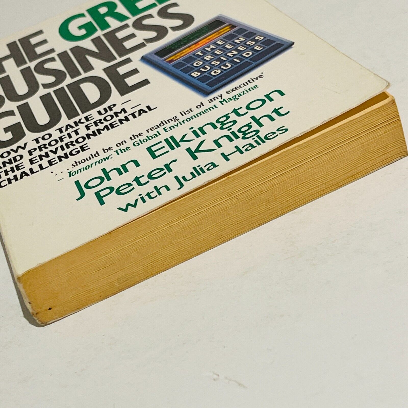 The Green Business Guide - Miss Holley Emma's Bookroom