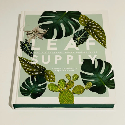 Leaf Supply: Guide to Keeping Happy Houselants