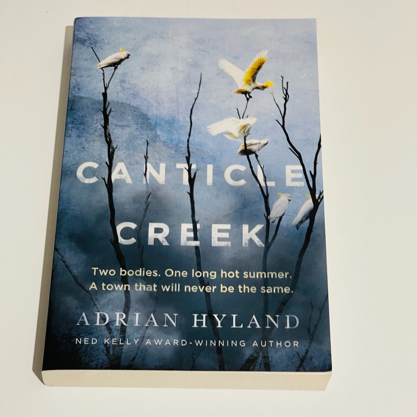 Canticle Creek