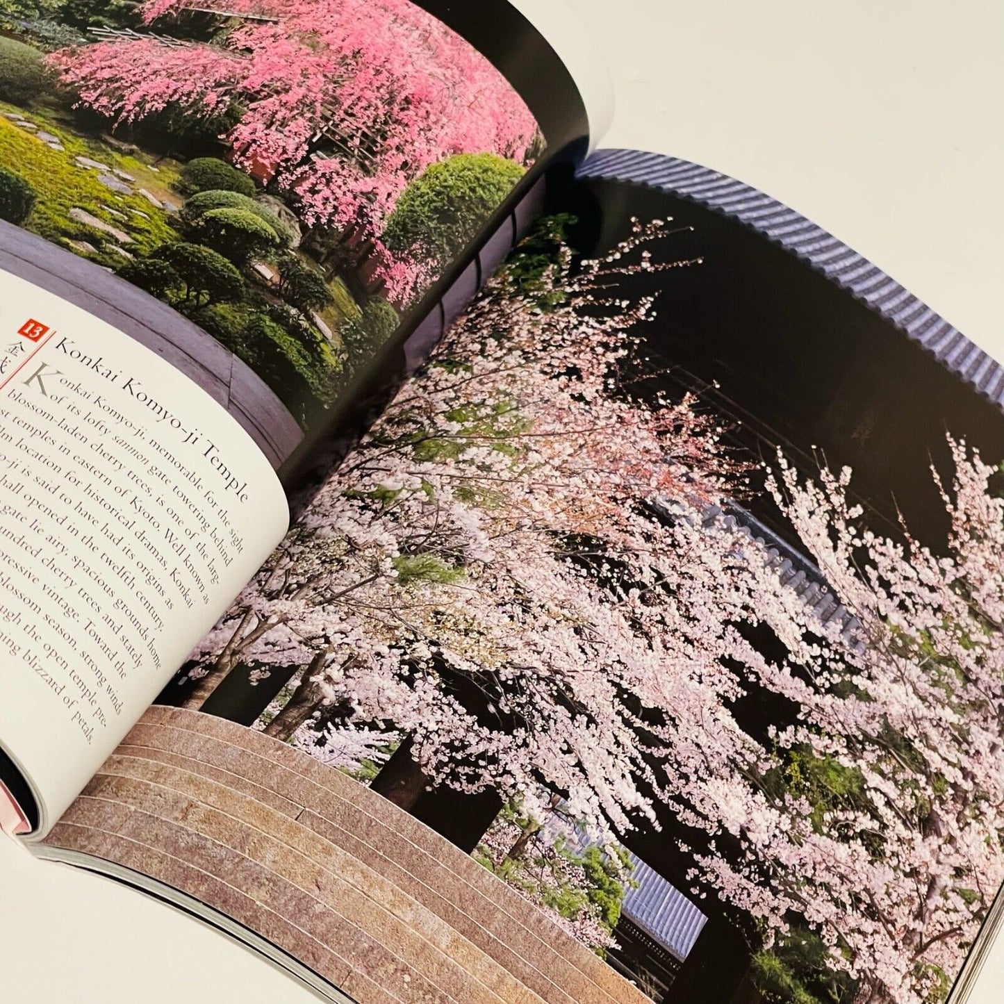 Cherry Blossoms of Kyoto