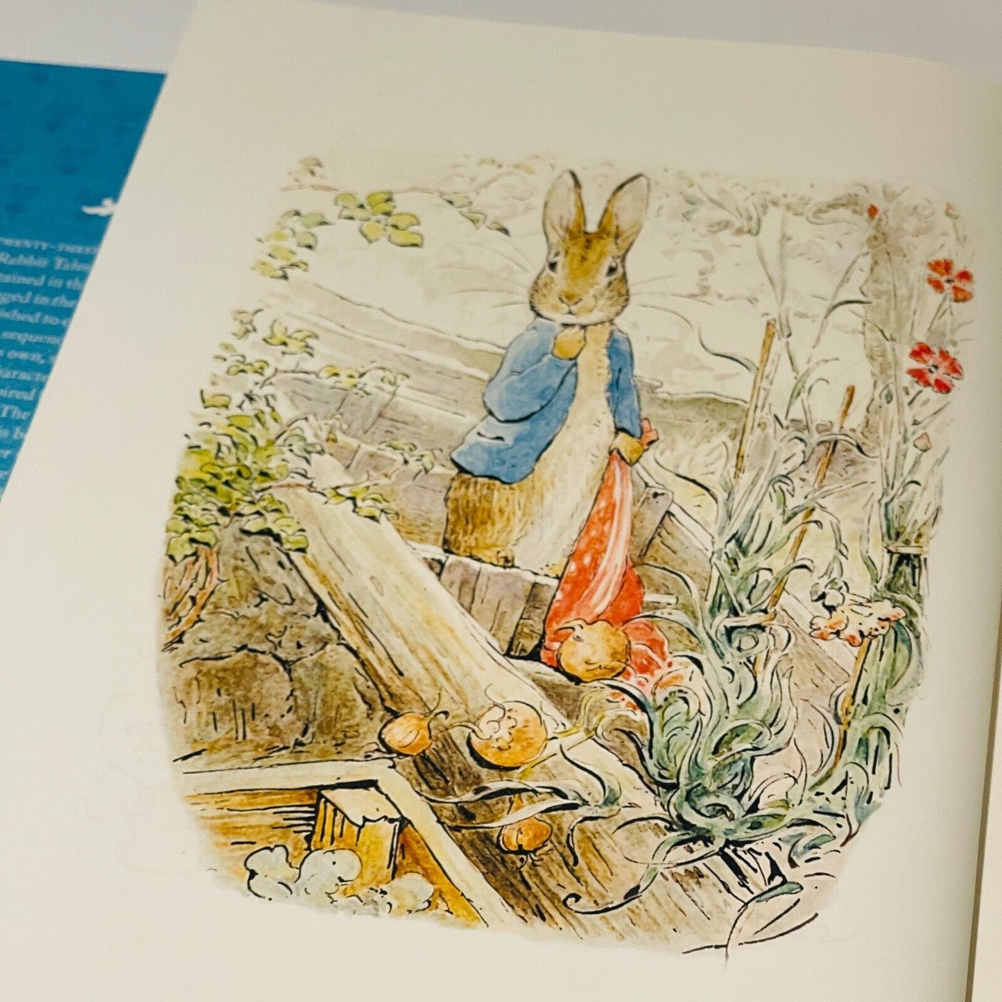 Beatrix Potter The Complete Tales