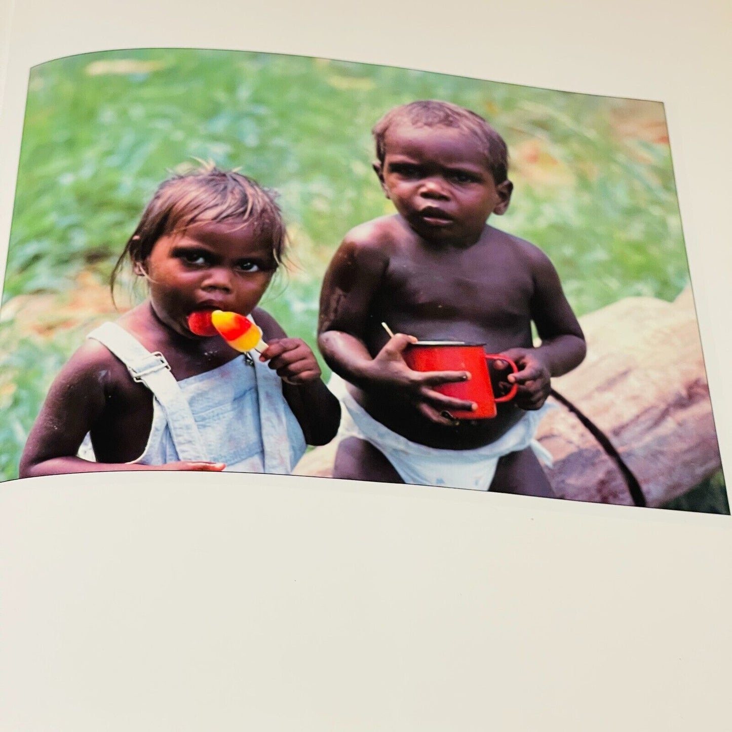 TIWI: The Life and Art of Australia's TIWI People