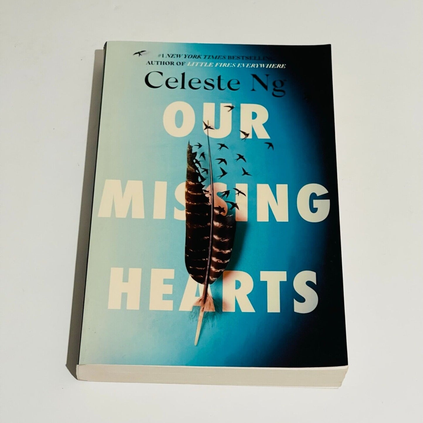 Our Missing Hearts