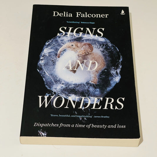 Signs and Wonders:  Dispatches from a time of beauty and loss