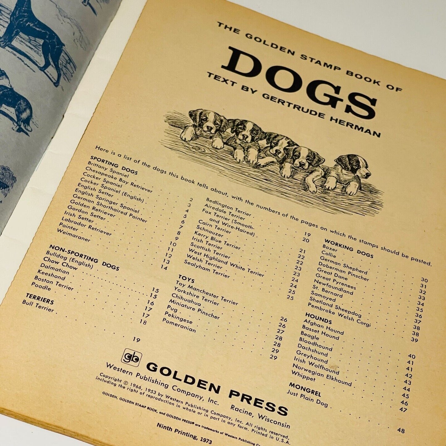 Dogs Vintage Art Book Bundle