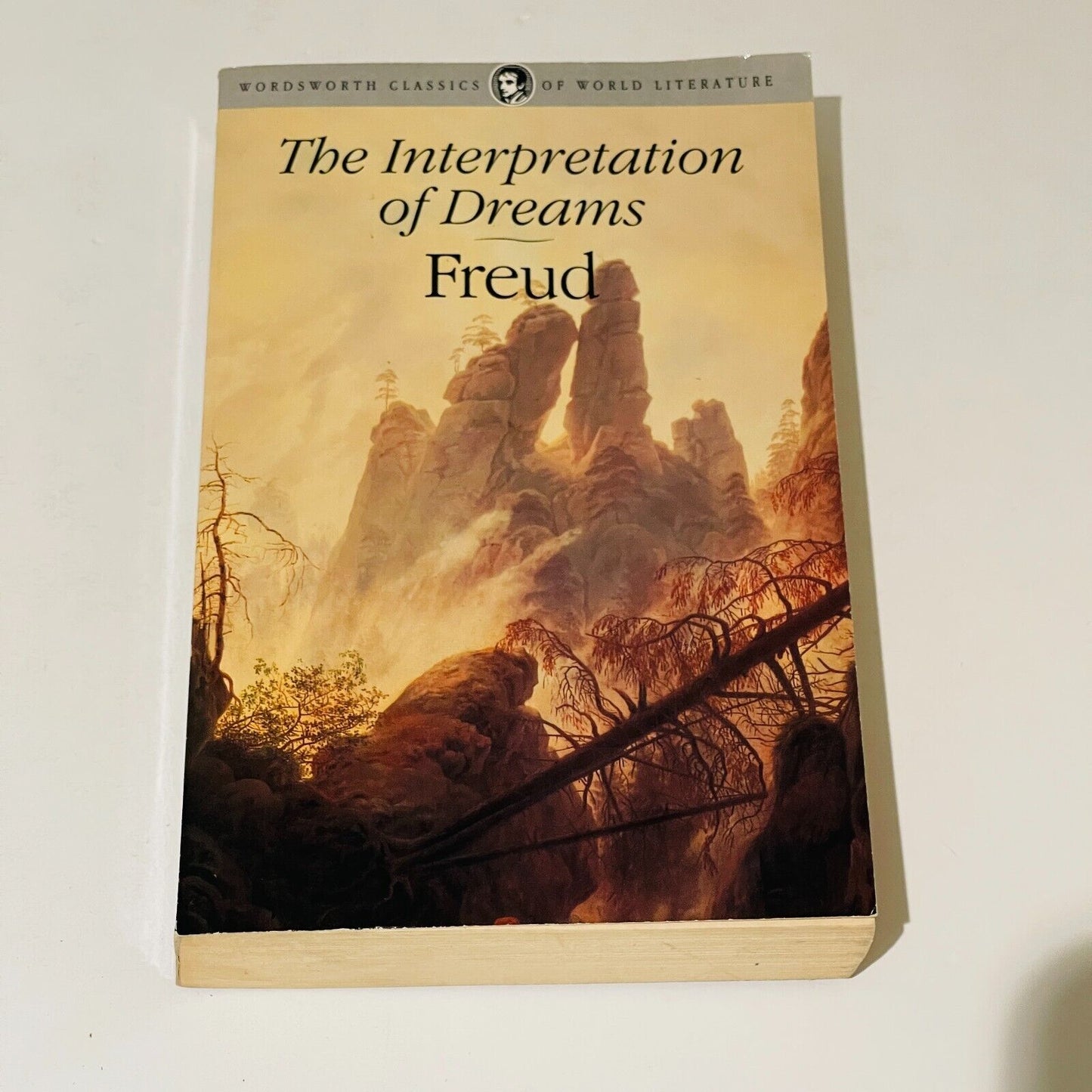 The Interpretation of Dreams