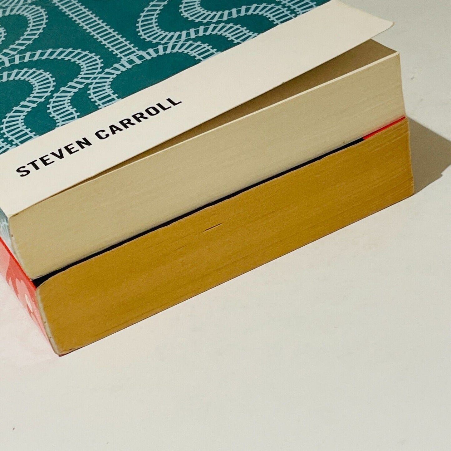 Steven Carroll Fiction Bundle