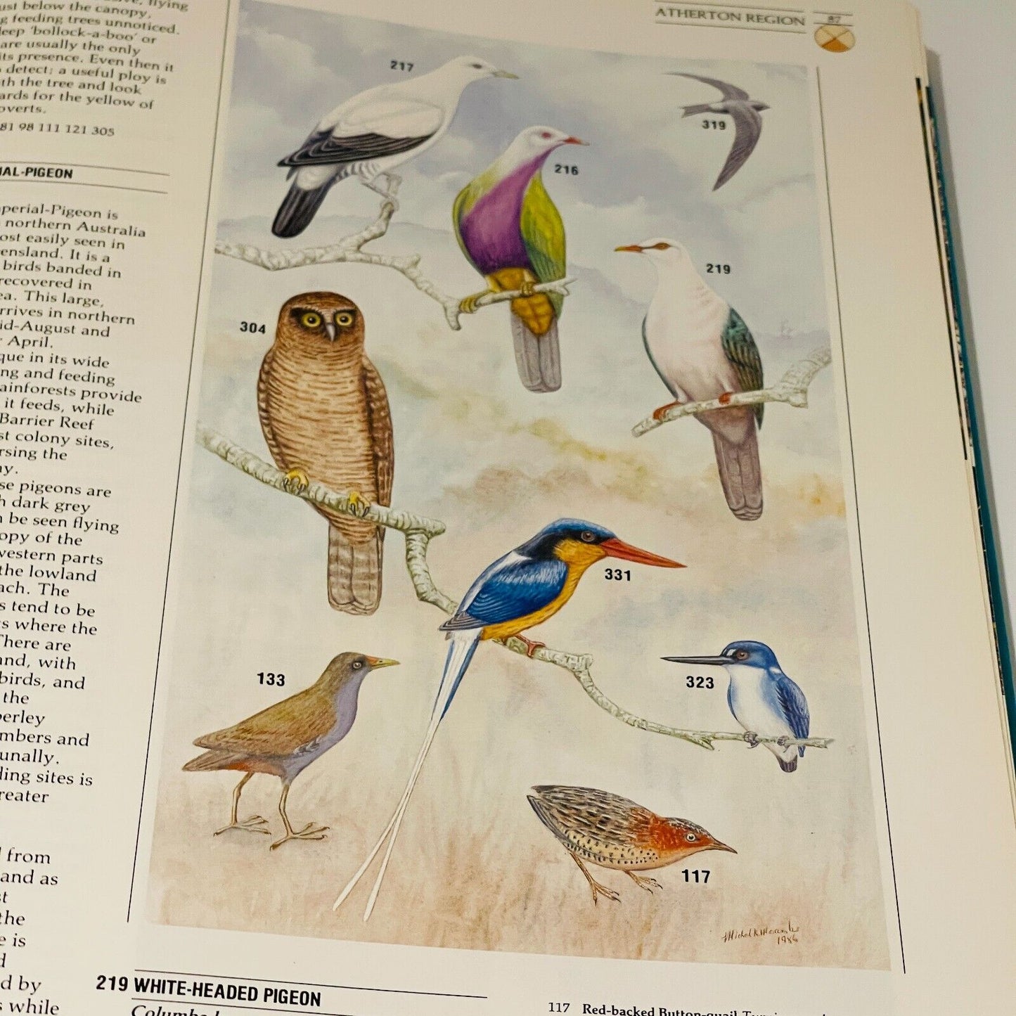 The Great Australian Birdfinder: Where and How to find Australian Birds