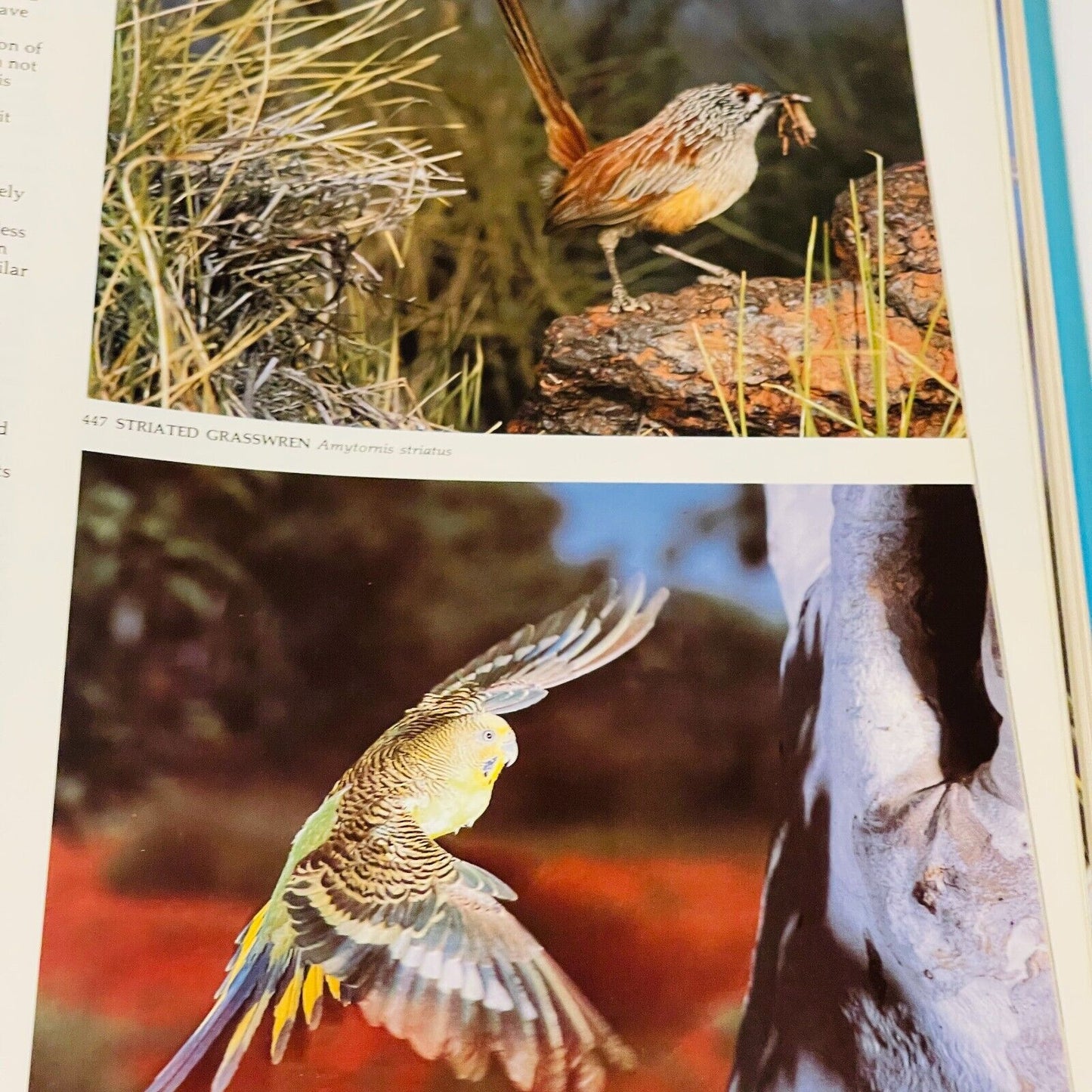 The Great Australian Birdfinder: Where and How to find Australian Birds