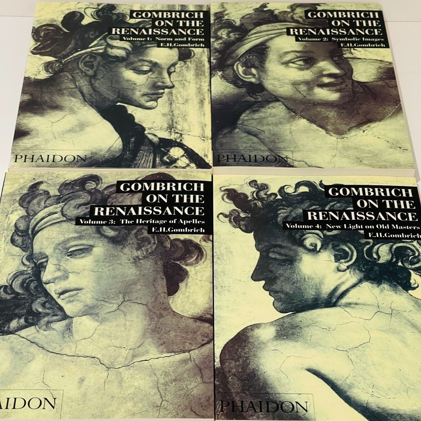 Phaidon Gombrich on the Renaissance Boxset