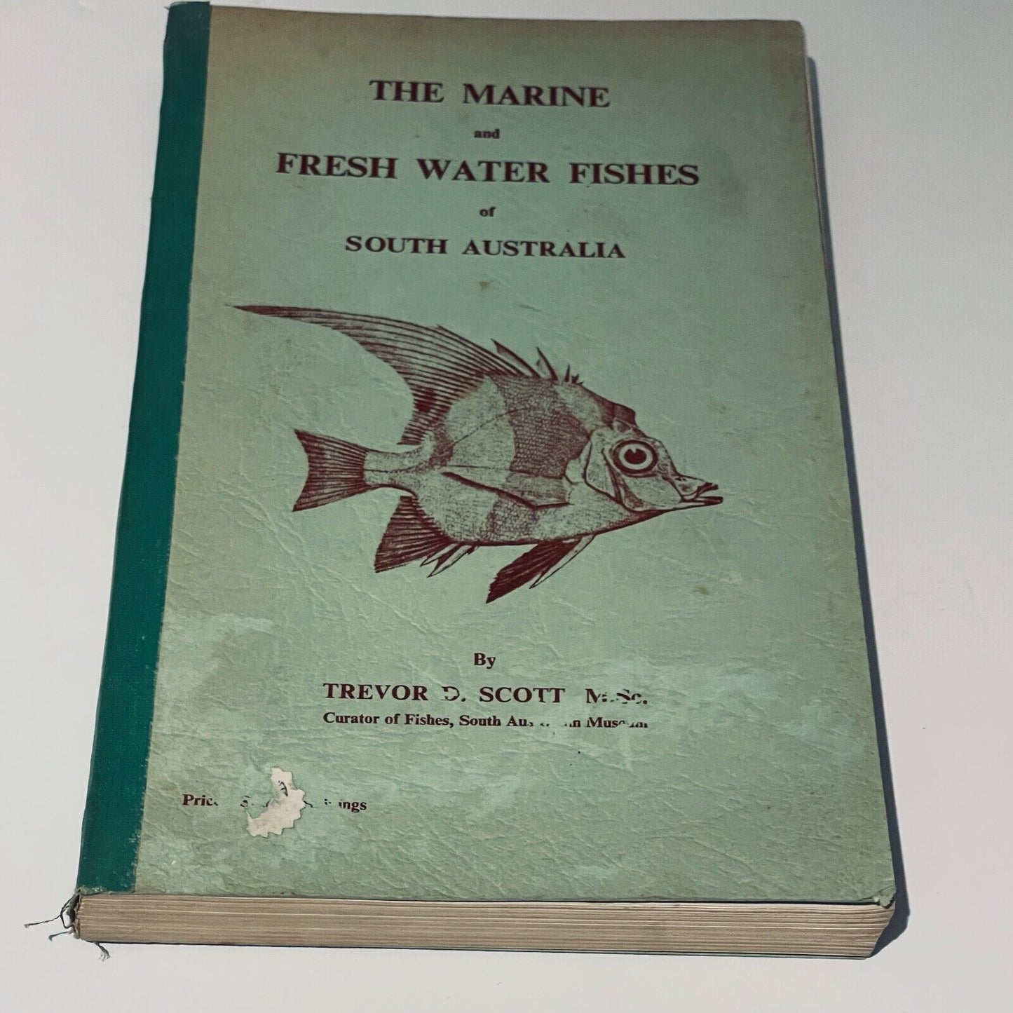 The Marine and Fresh Water Fishes of South Australia