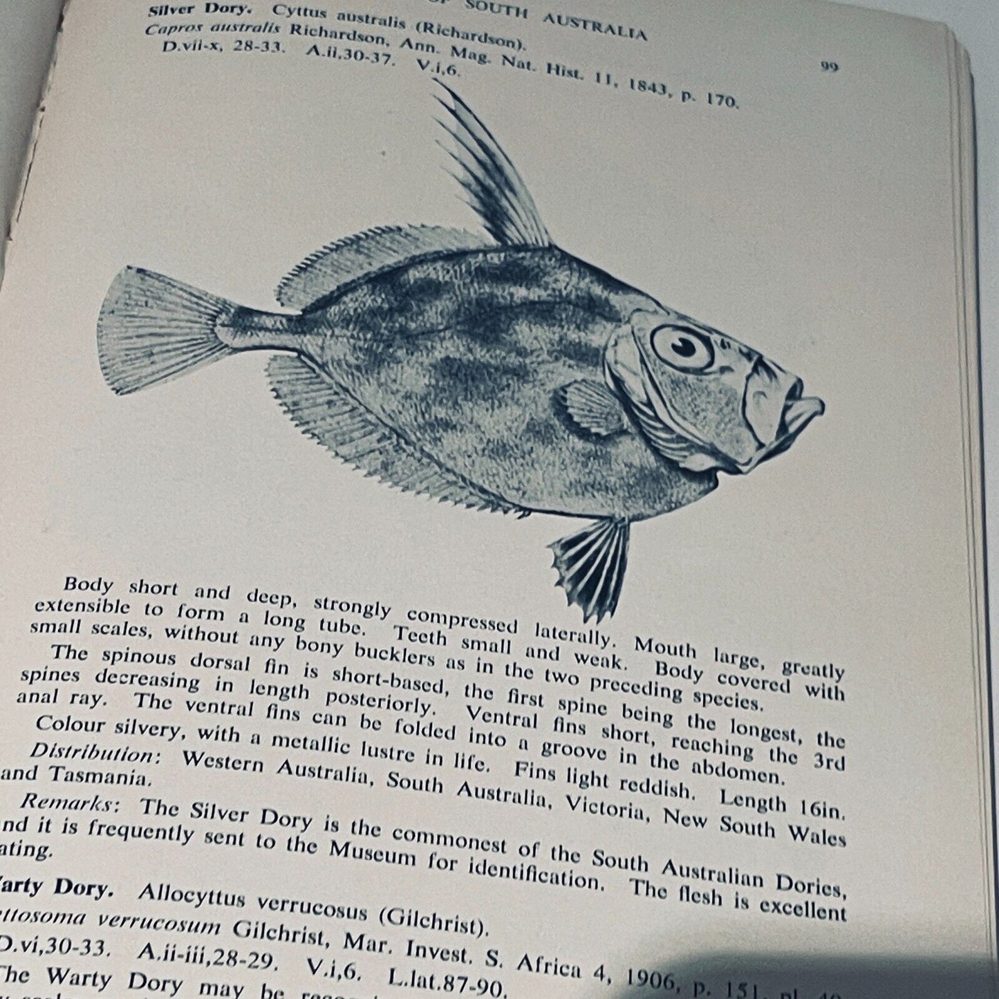 The Marine and Fresh Water Fishes of South Australia