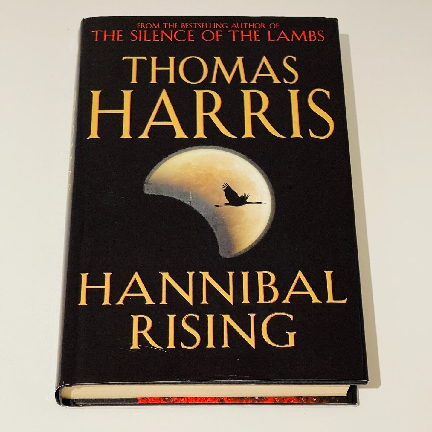 Hannibal Rising