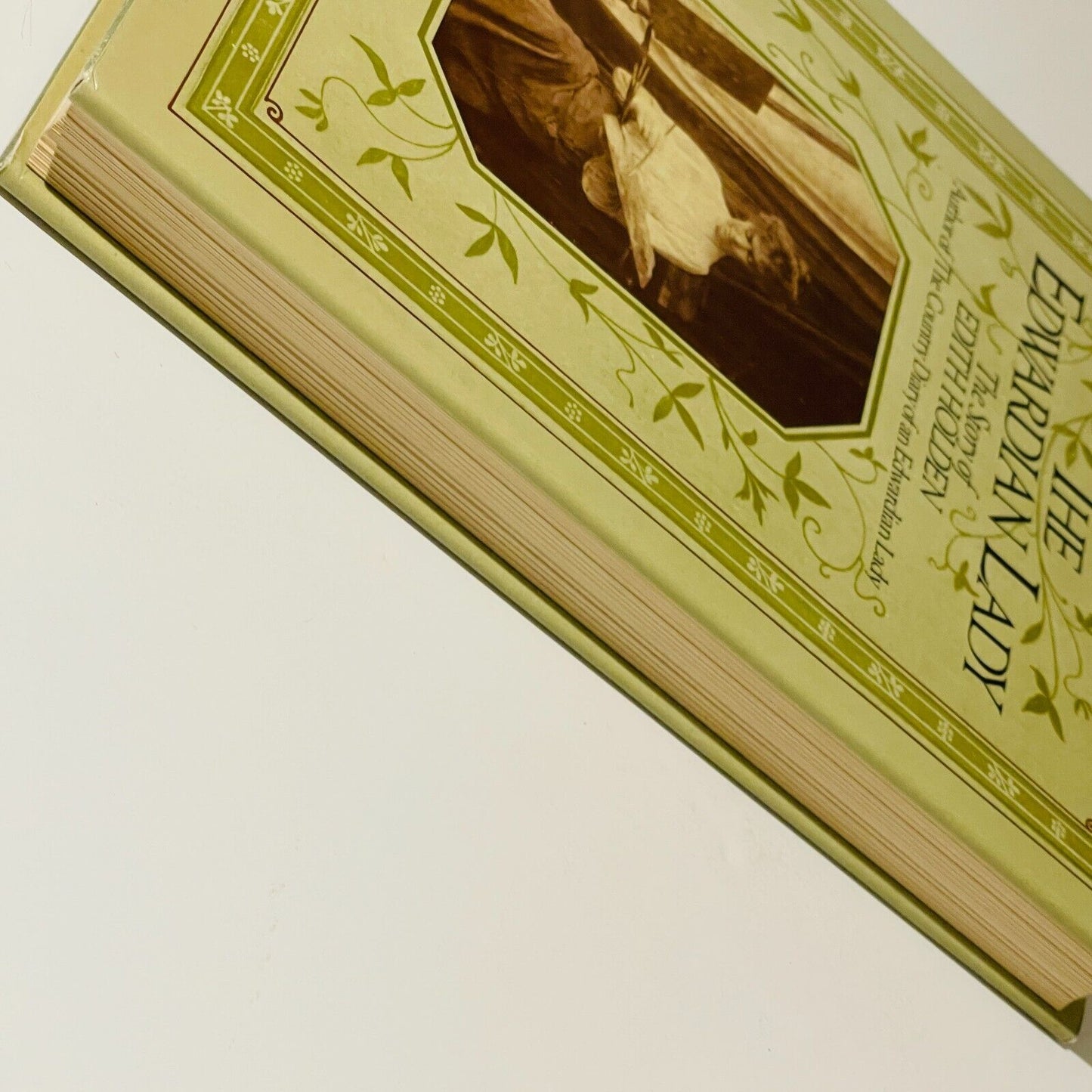 The Edwardian Lady The Story of Edith Holden