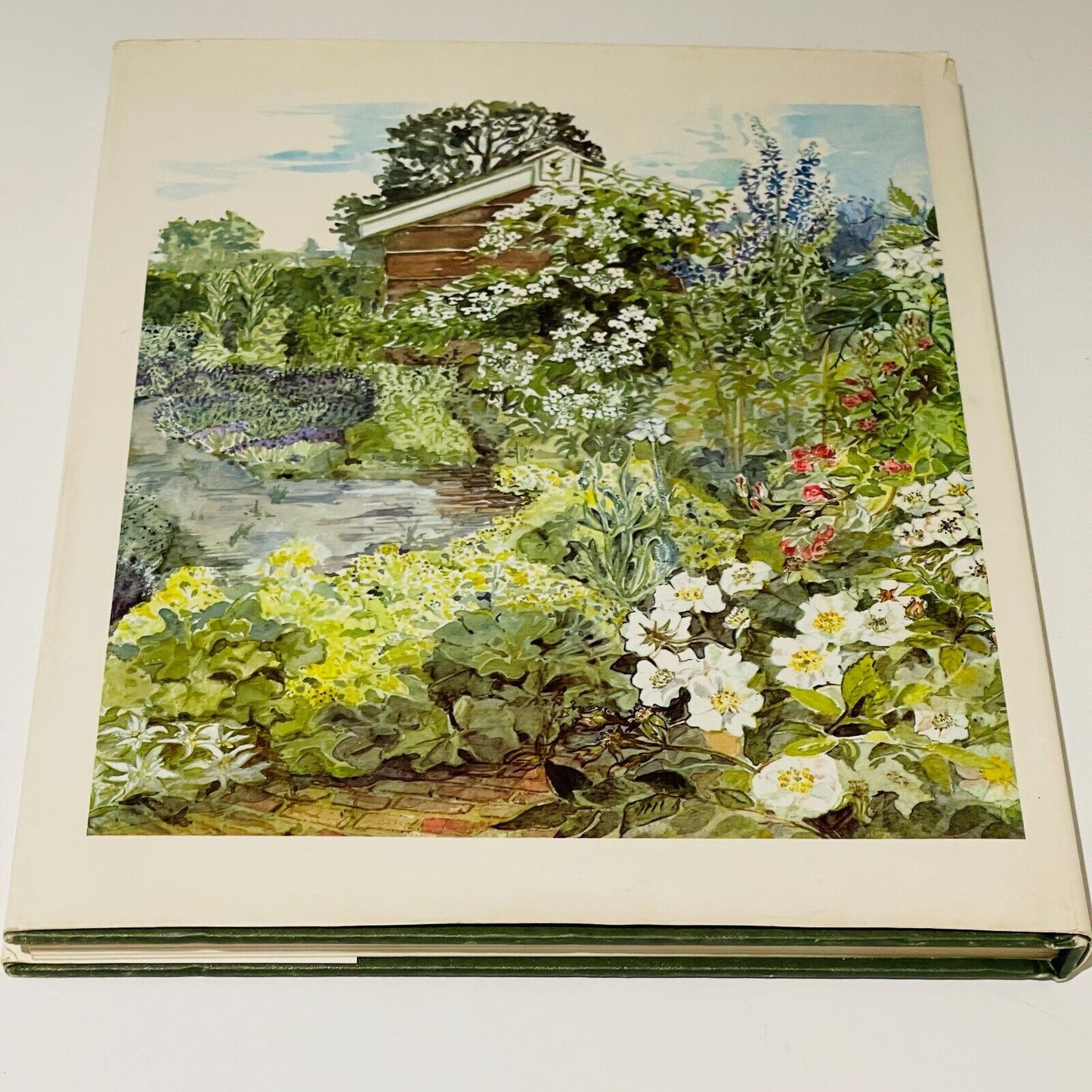 The Dried Flower Book: Growing, Picking, Drying, Arranging