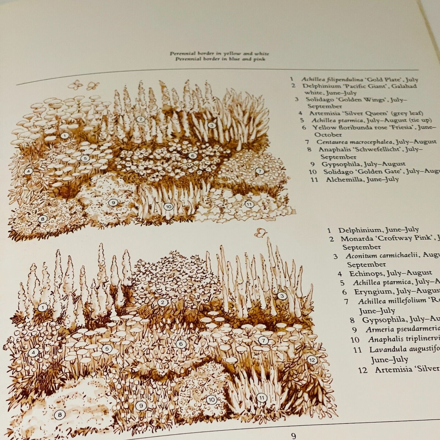 The Dried Flower Book: Growing, Picking, Drying, Arranging