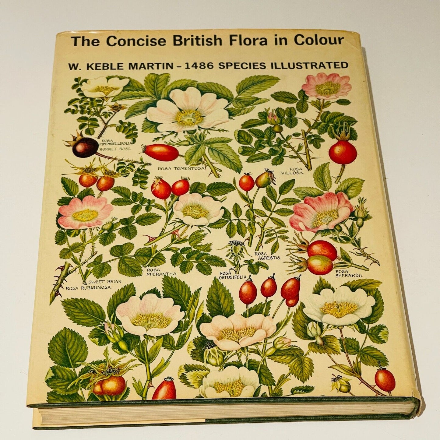 The Concise British Flora in Colour