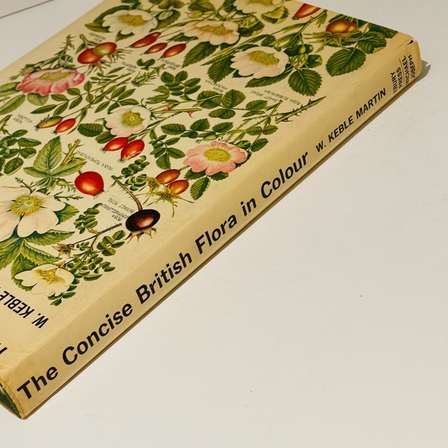 The Concise British Flora in Colour