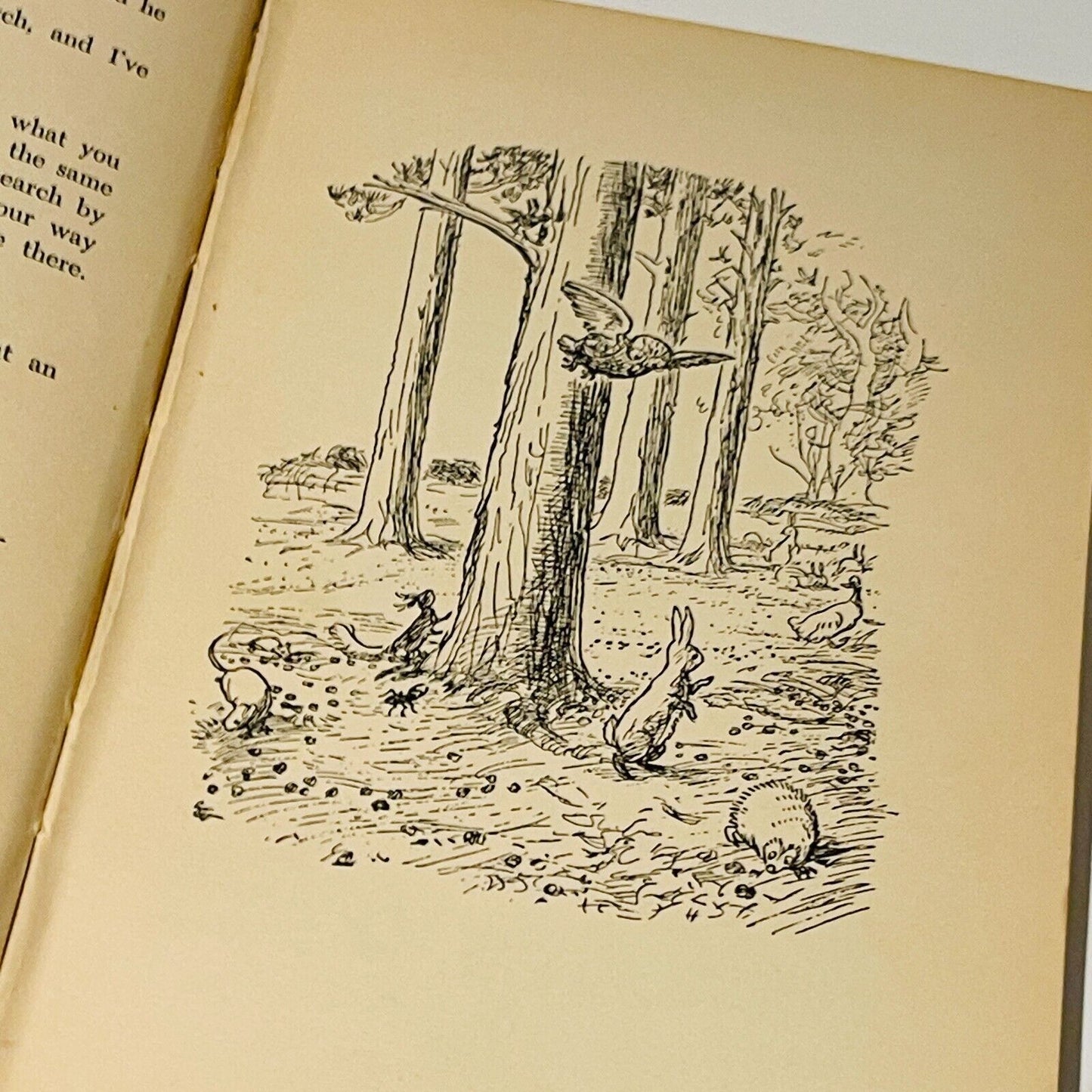 The House at Pooh Corner