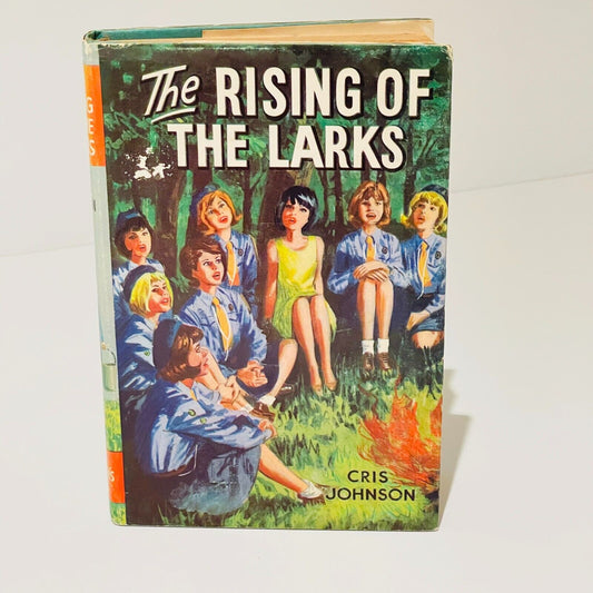 The Rising of the Larks