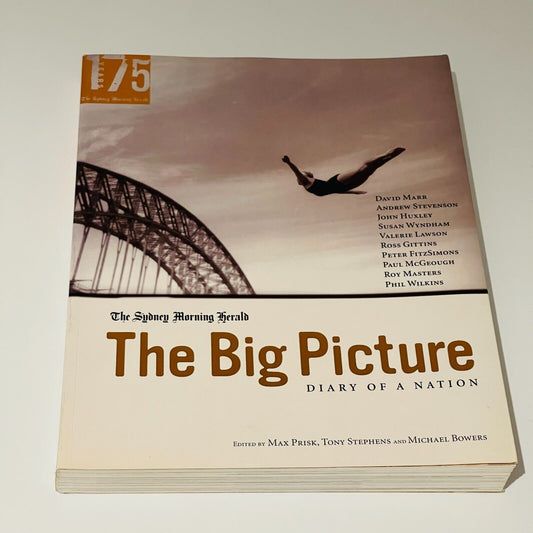 The Big Picture: Diary of a Nation