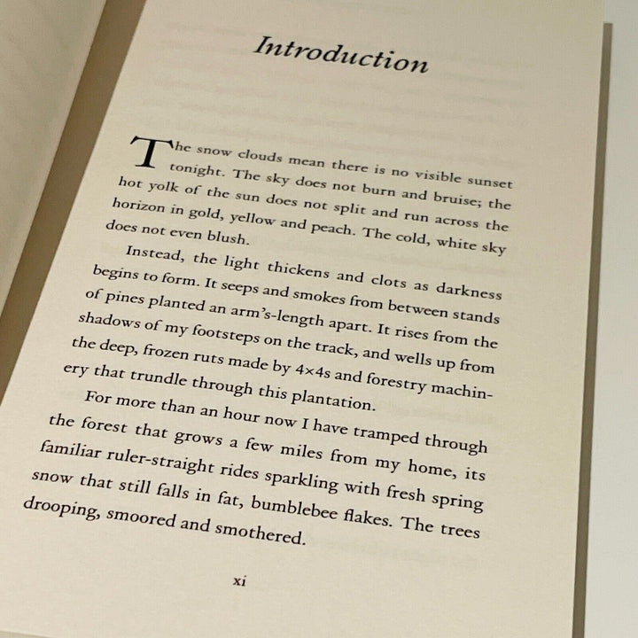 Under The Stars: A Journey into Light • Matt Gaw